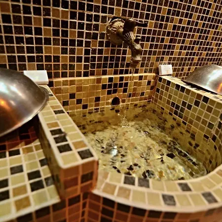 Kleptuza Hotel 4*